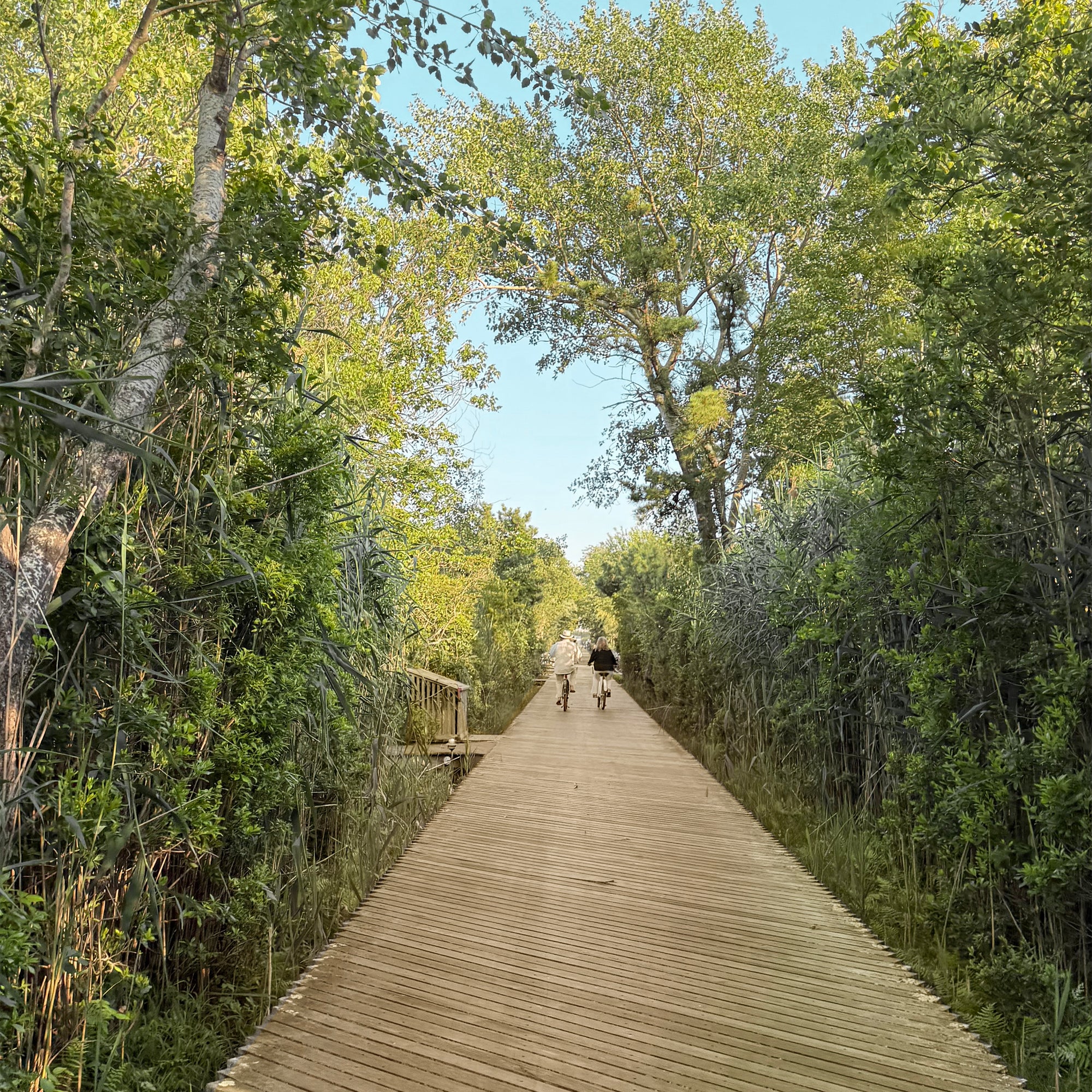 24-The Wall Hooks - beige